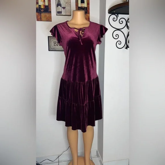 New With Tags, Velvet Tiered Ruffle Sleeve Dress, Medium but fits like Large - Picture 5 of 6